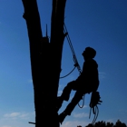 tree service logan