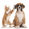 Carolina Pet Sitters gallery