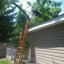 Metropolitan Motifs - Landscaping & Lawn Services
