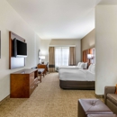 Comfort Inn & Suites near Bethel College - Motels