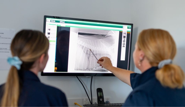Torquay and Surfcoast Veterinary Clinics - Torquay, VIC