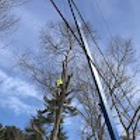 D&L Tree Service