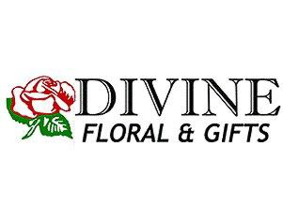 Divine Floral & Gifts - Arlington, TX