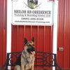 Shiloh K9 Obedience Training gallery