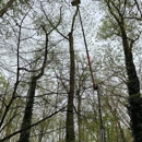 Friendly Tree Service Inc - Arborists