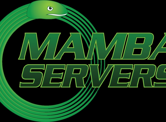 Mamba Servers - Houston, TX