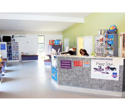 Taree Veterinary Hospital - Taree, NSW