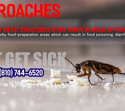 Becks Pest Control - Flushing, MI