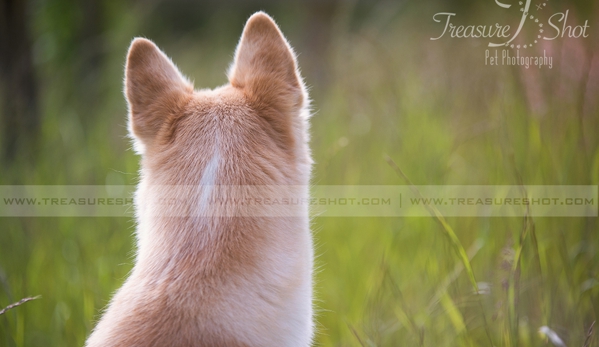 Treasure Shot Pet Photography - Mary Esther, FL