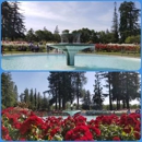 San Jose Heritage Rose Garden - Social Service Organizations