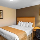 Quality Inn - Motels