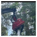 Peters Crane & Tree Service LLC - Crane Service