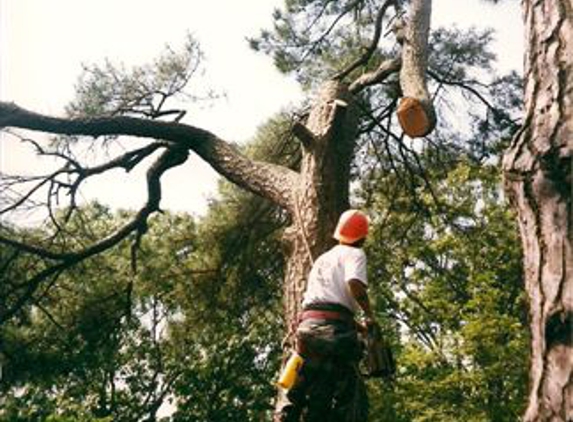 Grigg Brothers Tree Service Incorporated - Virginia Beach, VA