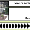 Olives Eatery gallery