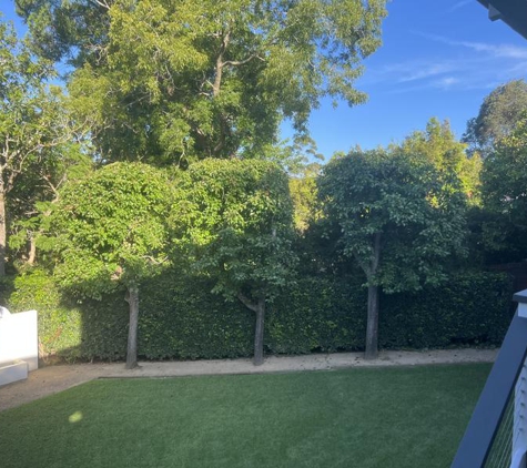 Arbor Pride Tree Services Pty Ltd - Westleigh, NSW