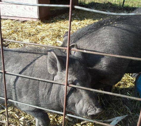 Scheeringa Farms & Produce - Highland, IN