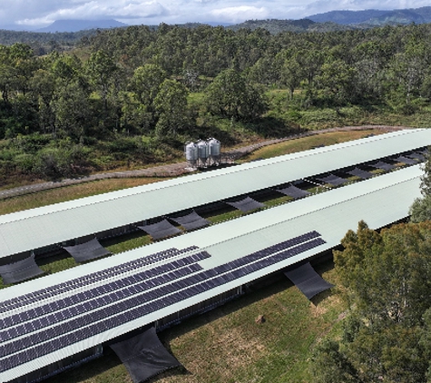 Australian Softwood - Raglan, NSW
