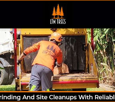 LTM Trees. Stump Grinding And Site Cleanups With Reliable Results