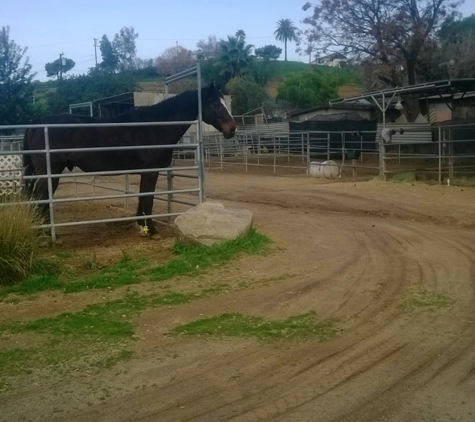 Little T Ranch - Lakeside, CA