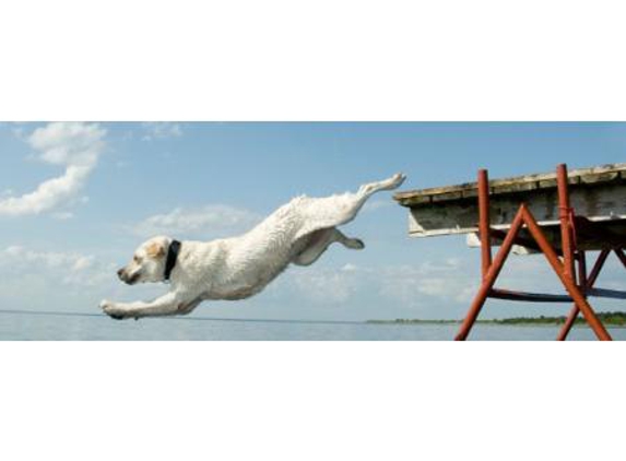 Whitehorse Veterinary Hospital