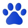 Murrells Inlet Veterinary Hospital gallery