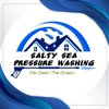 Salty Sea Pressure Washing gallery