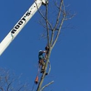 Quinlan Tree Service - Tree Service