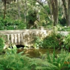 Sugar Mill Botanical Gardens gallery