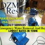 dzm enterprises