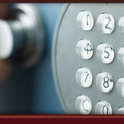 Gallery Image Number 7
