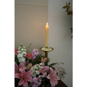 Gallery Image Number 5