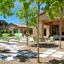 Tamura Designs - Landscape Designers & Consultants