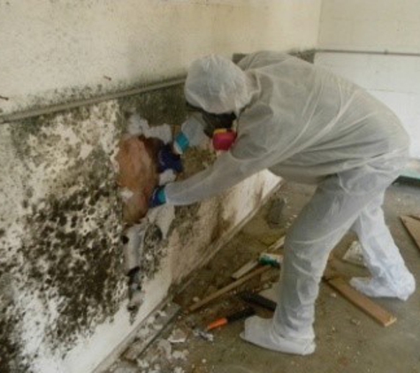 Healthy Air Duct Cleaning & Mold Remediation - Houma, LA