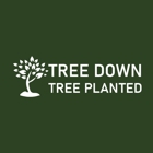 Tree Down Tree Planted