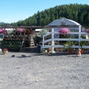 Lehman's Greenhouse - Greenhouses