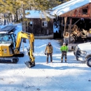Black Bear Tree Solutions - Tree Service