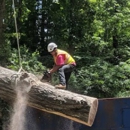 Metcalf Tree & Landscape Svc - Tree Service