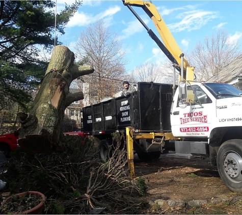 Tico's Tree Svc LLC - Orange, NJ