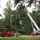 Bills Tree Service Inc - Arborists