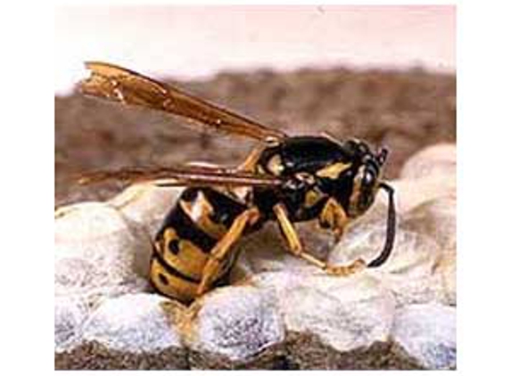 Mr Exterminator - Noarlunga Downs, SA