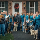 South Deerfield Veterinary Clinic PC - Veterinarians