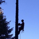 Blue Sky Trees Inc - Tree Service