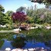 Earl Burns Miller Japanese Garden gallery