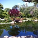 Earl Burns Miller Japanese Garden - Botanical Gardens