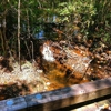 The Robert Trent Jones Golf Trail at Magnolia Grove gallery