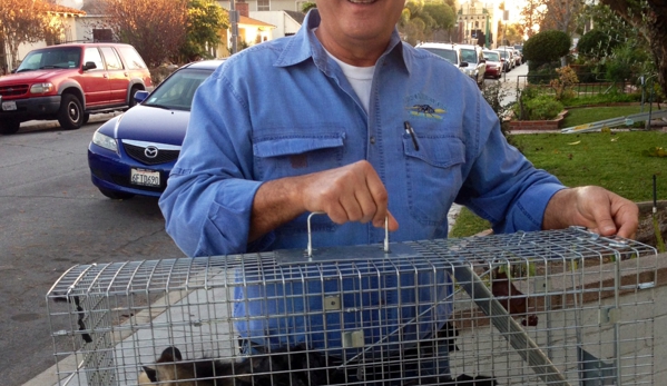 Leonardo`s Pest Control - Long Beach, CA