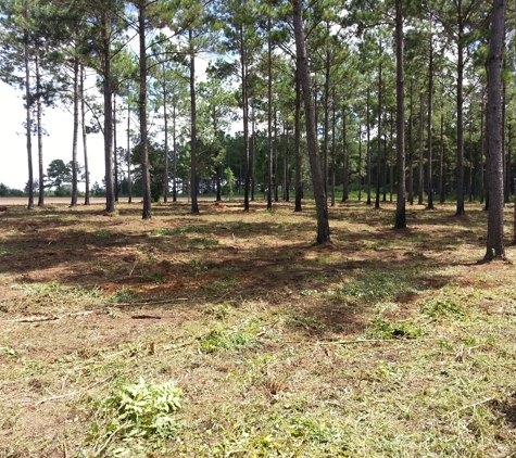 Jones Land Clearing - Moultrie, GA