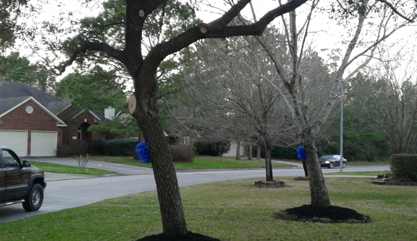 Orellanas Tree Service - Houston, TX