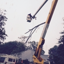 Tiger Tree Services,LLC. - Tree Service