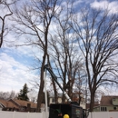 Garden State Landscaping & Tree Service - Tree Service